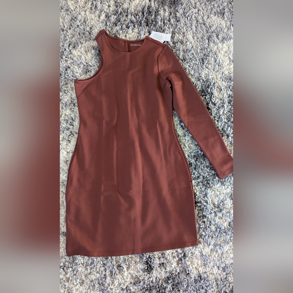 Abercrombie & Fitch Brown Asymmetrical One-Shoulder Bodycon Dress